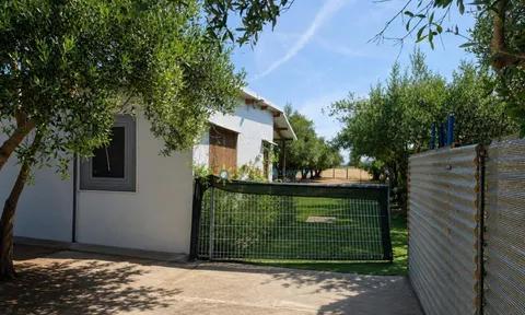 Land in Beniganim, Valencia